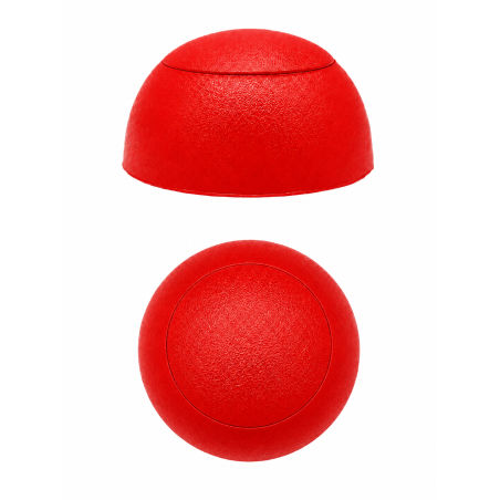 Cache-vis sphérique plat pour aires de jeux M6 Rouge Cache-vis sphérique plat pour aires de jeux M6 capuchon cache-vis plat M6 EMFA GmbH