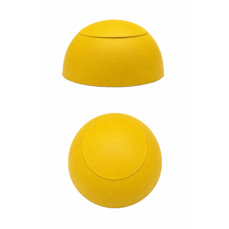 Cache-vis sphérique plat pour aires de jeux M8 Jaune Cache-vis sphérique plat pour aires de jeux M8 capuchon cache-vis plat M8 EMFA GmbH